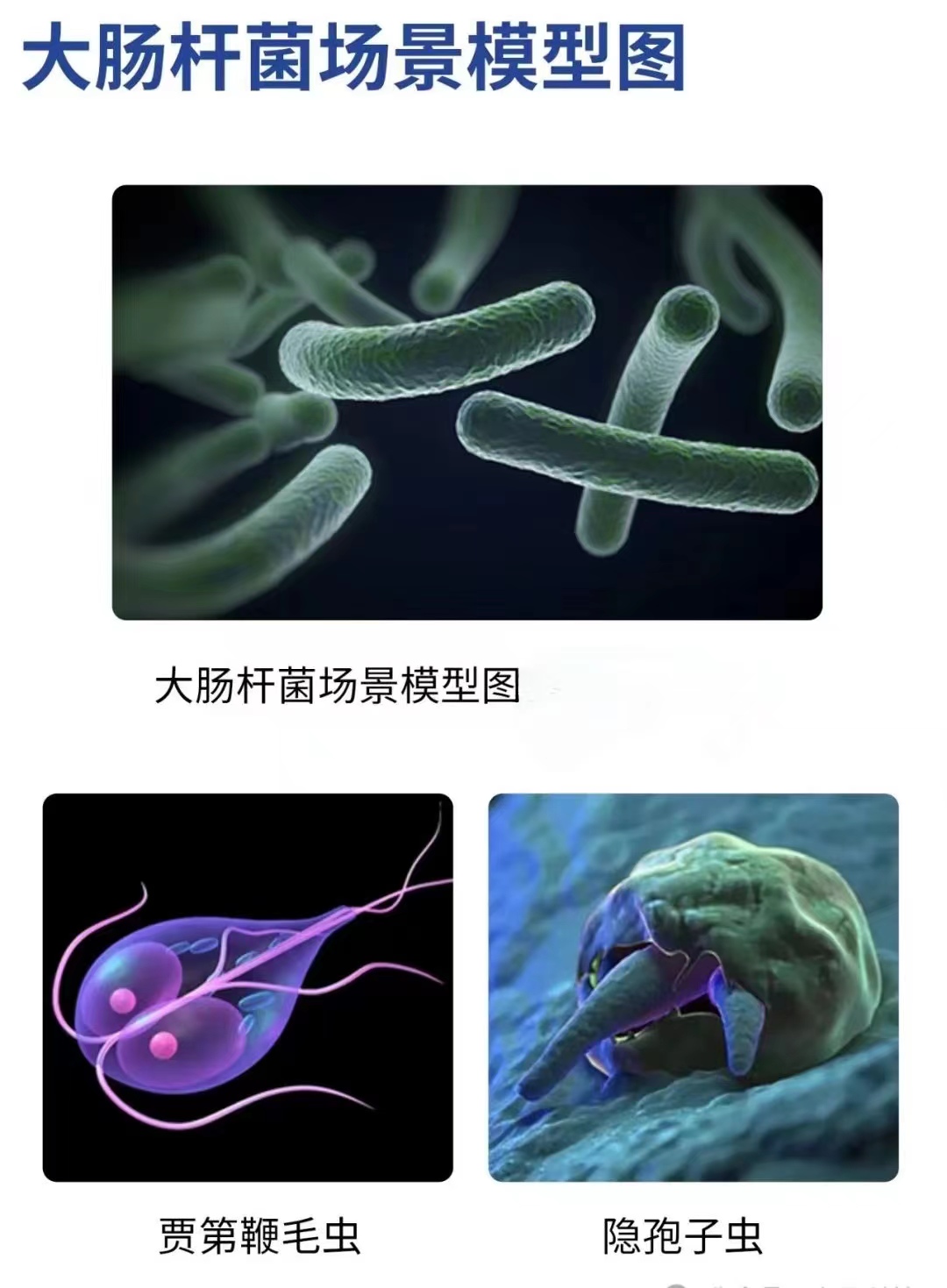 新品上(shàng)市：一體式低(dī)量程激光濁(zhuó)度計