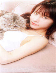 点金胜手下载/亚洲精品在线免费