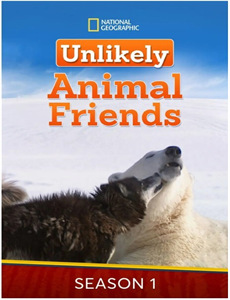 乐坛毒舌嗡嗡鸡第二十六季