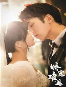 极限挑战高能合集