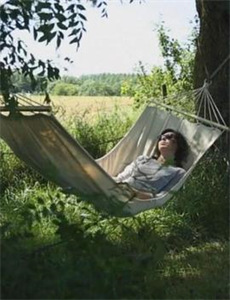 巨虫公园大冒险