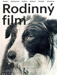 美女总裁欠我赊刀债